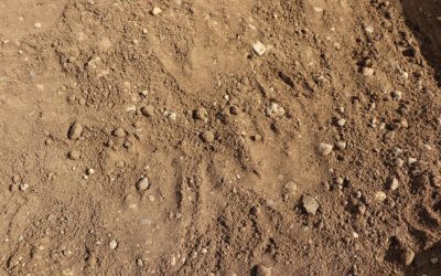 Screened Topsoil