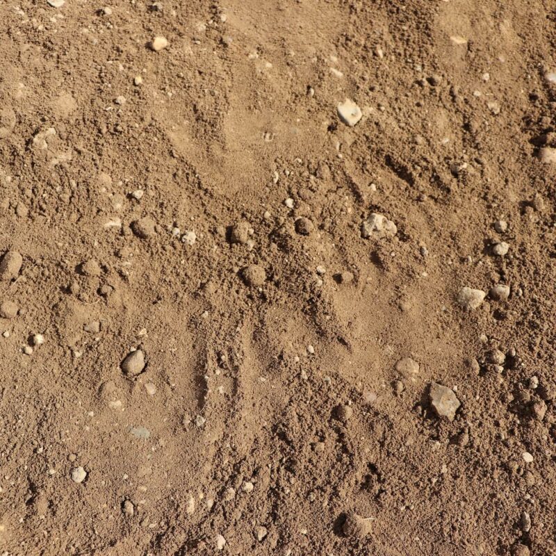 Screened Topsoil